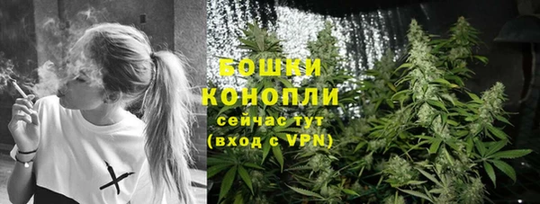стафф Богородицк