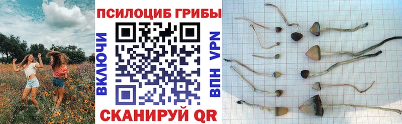 Псилоцибиновые грибы мухоморы  Вилючинск 